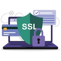 Ssl certificate for your website vector