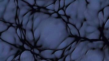 Abstract, Background, Flow, Wave, Texture, Animation video