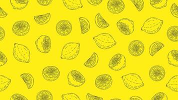 Lemon fruit hand drawn background. Lemon seamless pattern. Lemon doodle motif wallpaper for packaging vector