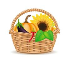 wicker basket with vegetables illustration isolated white background vector