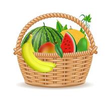 wicker basket with fruits illustration isolated on white background vector