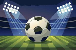 Soccer Ball on the Field at Under the Lights vector