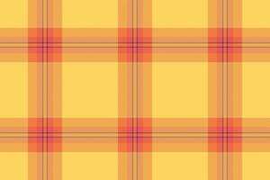 Classic plaid pattern featuring crisp lines timeless symmetr vector