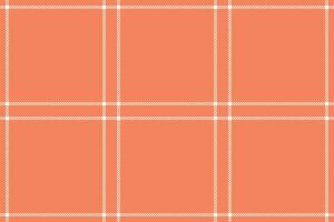 Premium plaid design, perfect creating elegant fashio vector