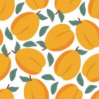 Seamless pattern ripe fruits apricots with leaves vector