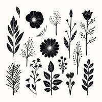 Vintage-Inspired Botanical Elements in an Artistic Digital Style vector