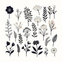 Stylized Nature Elements Featuring Elegant Floral Compositions vector