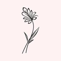 Ornate Floral Elements with a Sophisticated Aesthetic vector