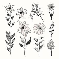 Delicate Botanical Line Art Perfect for Various Projects vector