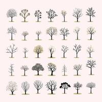 Beautiful Botanical Illustrations with a Nature-Inspired Touch vector