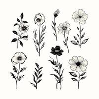 Stylish Botanical Illustrations with a Creative and Organic Touch vector