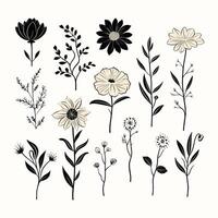 Timeless Floral Artwork with a Classic Botanical Design Touch vector