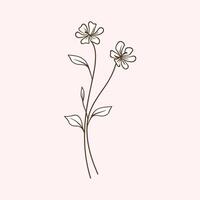 Handcrafted Botanical Illustrations in a Delicate Sketch Style vector