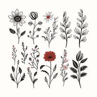 Naturalistic Floral Elements for Elegant Design Compositions vector