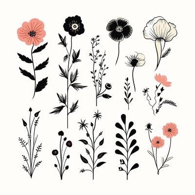 Hand-Drawn Nature Illustrations for a Timeless Artistic Look