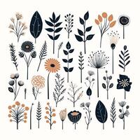 Hand-Drawn Botanical Patterns with a Stylish Artistic Look vector