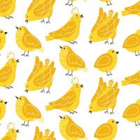 Seamless Summer Pattern with Yellow Birds in Flat Style on White Background vector