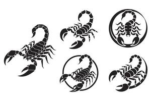 Scorpion based logos vector