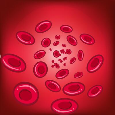 Movement of red blood cells in an artery. Scientific 3D illustration