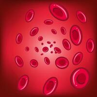 Movement of red blood cells in an artery. vector