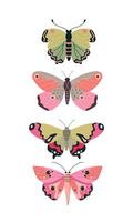Set of butterflies in pink colors, flat style illustration on white background vector