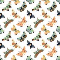 pattern seamless with beautiful colorful butterflies, flat style illustration vector