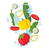 Fresh vegetable splash with tomato and cucumber slices vector