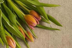 Bouquet of pink tulips on a linen tablecloth photo