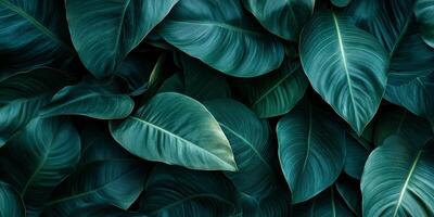 Lush green leaves create vibrant and calming background, perfect for nature themed designs. rich textures and deep colors evoke sense of tranquility and freshness photo