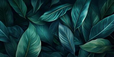 Lush green leaves create vibrant and calming background, showcasing various shades and textures. Perfect for nature themed designs or projects photo
