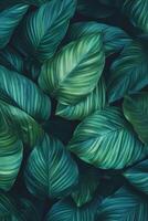 Lush green leaves with intricate patterns create vibrant, natural background. varying shades of green evoke sense of tranquility and freshness photo