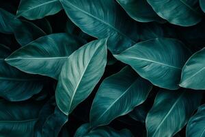 Lush green leaves with intricate patterns create vibrant, natural background. rich textures and varying shades of green evoke sense photo