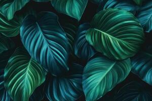 Lush green leaves with intricate textures create vibrant background, showcasing various shades of green and blue. This natural design evokes sense of tranquility and freshness photo
