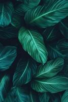 Lush green leaves with intricate textures create serene and calming background. Perfect for nature themed designs or botanical projects photo