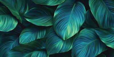 Lush green leaves with intricate textures create vibrant background, evoking sense of tranquility and nature beauty. Perfect for various design projects photo