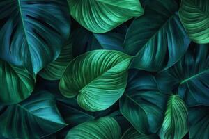 Lush green leaves create vibrant and calming background, showcasing various shades of green and intricate textures. This natural pattern evokes sense of tranquility and freshness photo