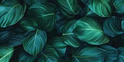 Lush green leaves with intricate patterns create vibrant background, evoking sense of tranquility and nature beauty. Perfect for design projects or nature themes photo