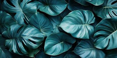 vibrant arrangement of tropical leaves in rich green hues, creating lush and serene background. Perfect for nature themed designs or botanical projects photo