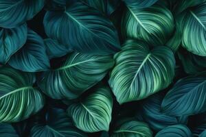 Lush green leaves create vibrant and calming background, showcasing various shades of green and intricate textures. Perfect for nature themed designs photo