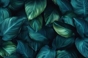 Lush green leaves with varying shades of teal and emerald create vibrant, textured background, evoking sense of tranquility and nature beauty photo