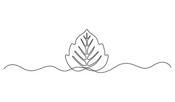 Continuous one line art drawing of a Monstera. Leaf monstera single line art. Graphic illustration vector