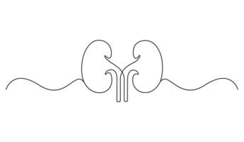 Continuous line drawing of kidney icon. Human kidney continuous one line drawing graphic illustration, Graphic hand drawn style design for health and medical. vector