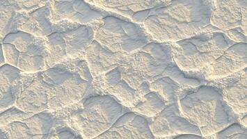 Close-Up of White Textured Surface with Natural Patterns photo
