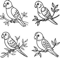 Parrot Line Art Bird Sketch Collection for Coloring Pages vector