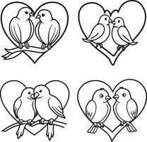 Bird Sketch Collection Parrot Line Art for Coloring Pages vector