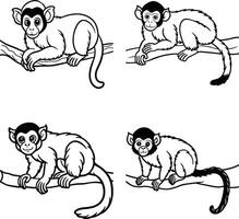 Charming and silly monkey outline illustrations for coloring vector