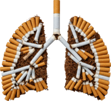 Artistic representation of human lungs made from cigarettes, symbolizing the impact of smoking on health and the dangers of tobacco use. png