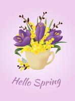 Hello spring. Spring flowers, crocus, mimosa, willow branch in cup on purple background. Design for banners, postcards, posters. vector