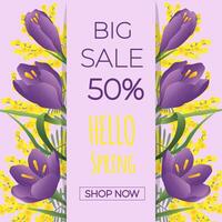 Hello spring. Sale banner with spring flowers crocus and mimosa on purple vector