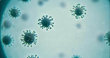 bacteria and viruses through a powerful microscope video